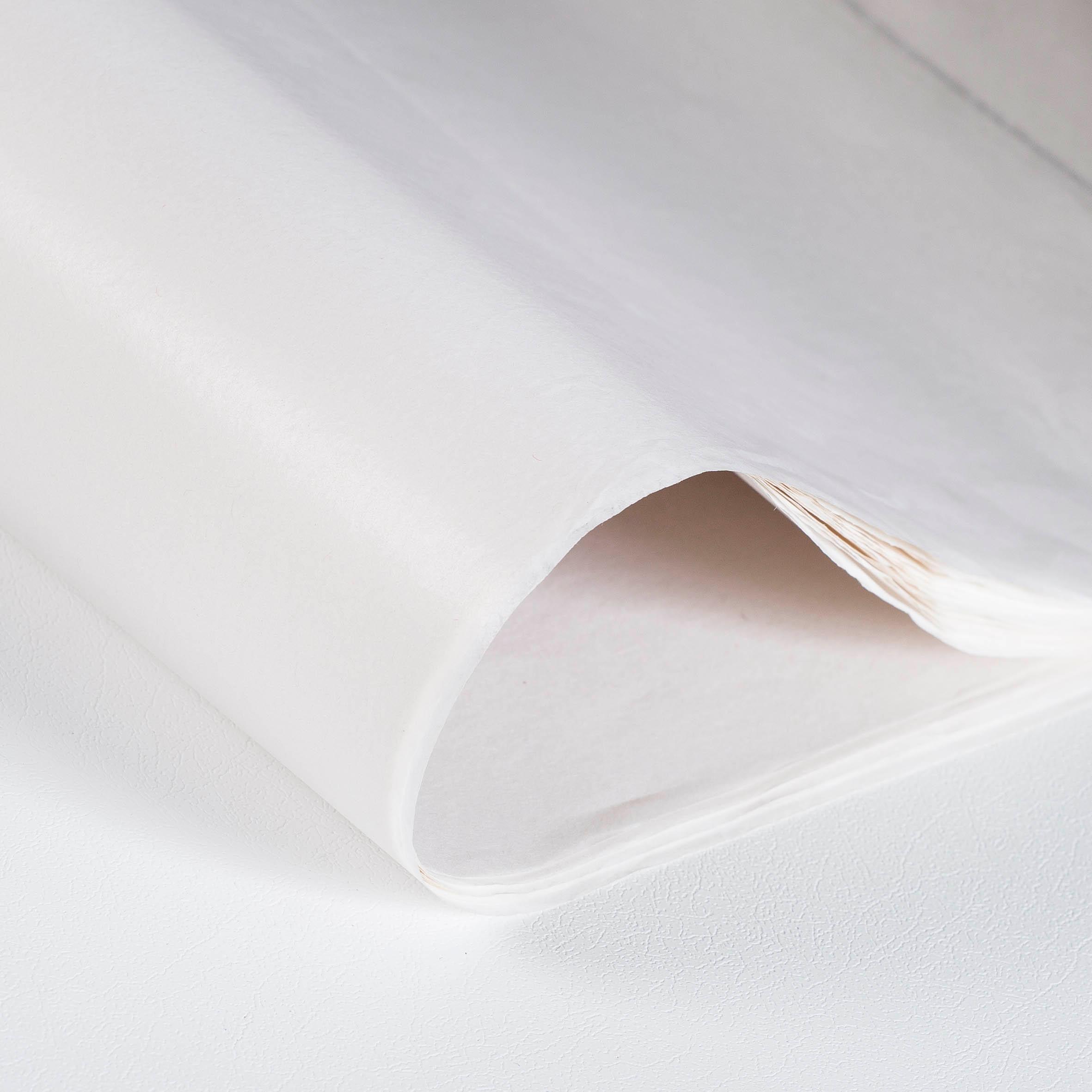 RB-9501 White MG.jpg